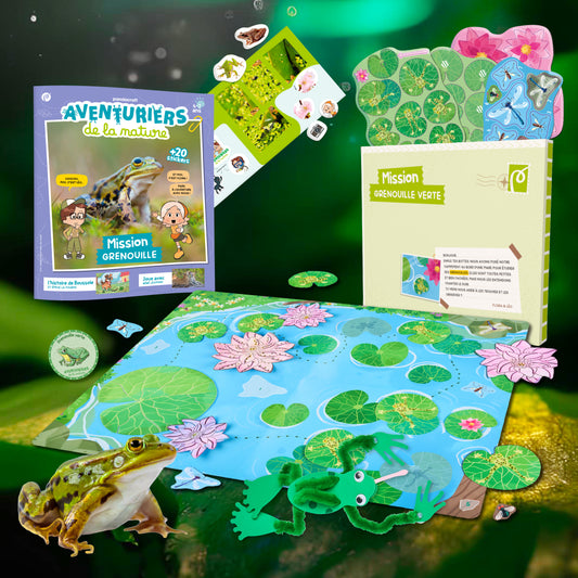 Les grenouilles vertes