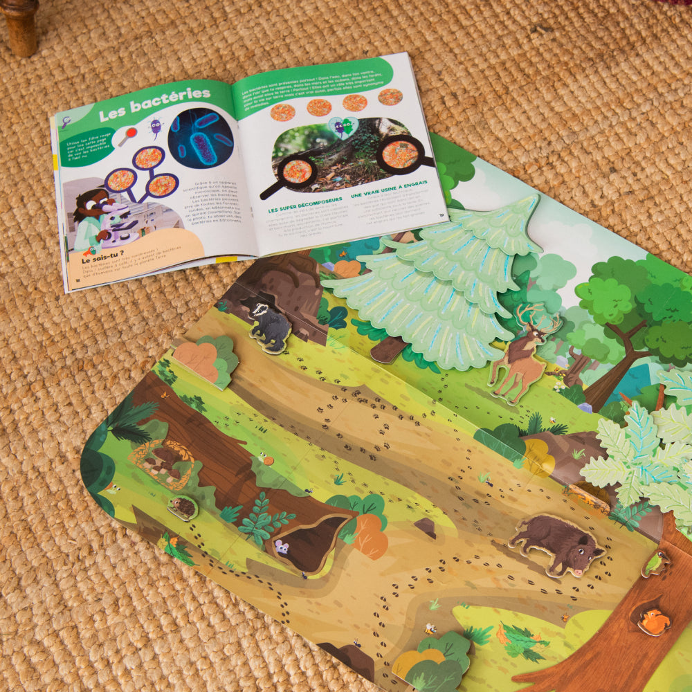 kit-magazine-la-foret