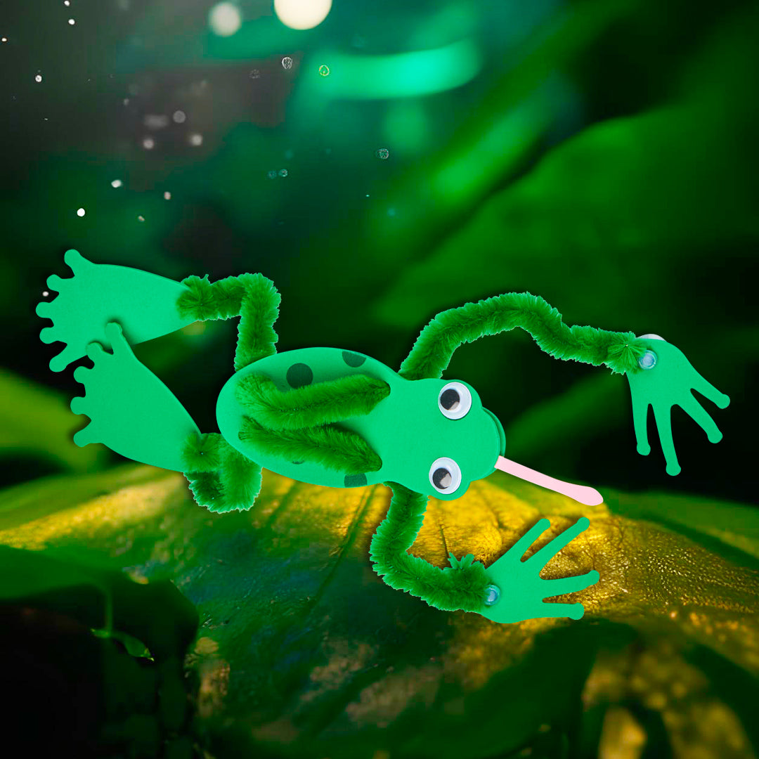 Les grenouilles vertes