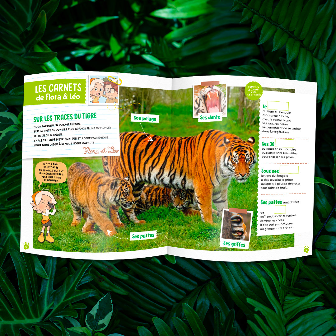 Le tigre du Bengale