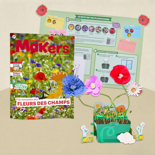 Les fleurs des champs