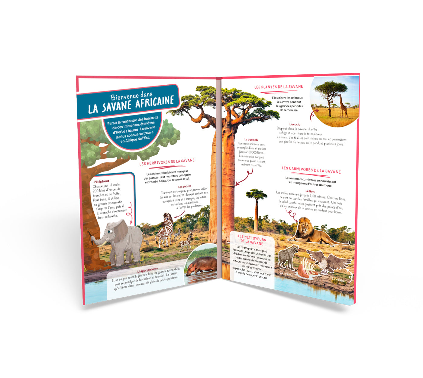 DépliMonde SAVANE