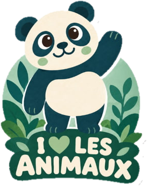 I love les animaux